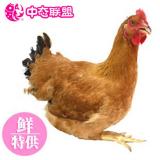 ��̬QQ���� ���