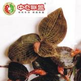 Ұ��������100��