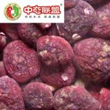 Ұ���칽500��